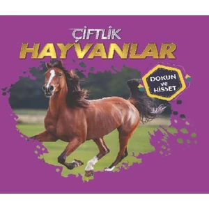 0-6 Yaş Yayınları Çiftlik Hayvanları - Dokun ve Hisset