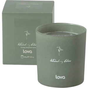 Lova Yatak Vibrant Citrus Portakal Kokulu Mum