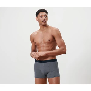 2 Adet Slip Boxer