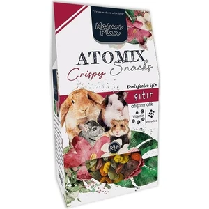 Nature Plan Atomix Snacks Extrude 250 gr