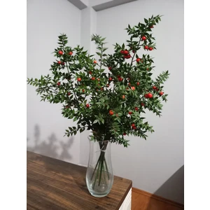 Fidan Marketi Canlı Yılbaşı Çiçeği Şans Bitkisi Kokina 1 Demet)