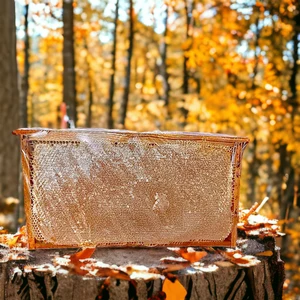 Tanbal Arı Çiftliği Yayla Balı Çerçeve Bal Petekli 2,8kg