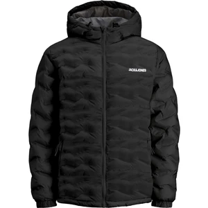 Jack & Jones Core Jcowin Kapüşonlu Regular Fit Mont Erkek Mont 12250429