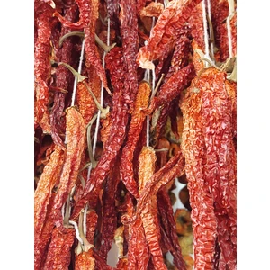 Acı Kuru Sivri Biber Kızartmalık Biber Kurusu Güneş Kurusu