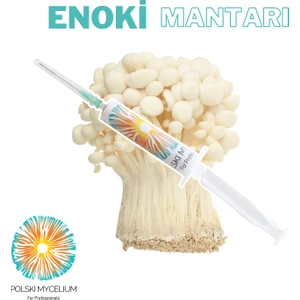 Polski Mycelium  Enoki Mantarı Sıvı Miseli (Tohumu) 5 Ml, Misel ve Kompost Üretmek İçin Ana Kültür