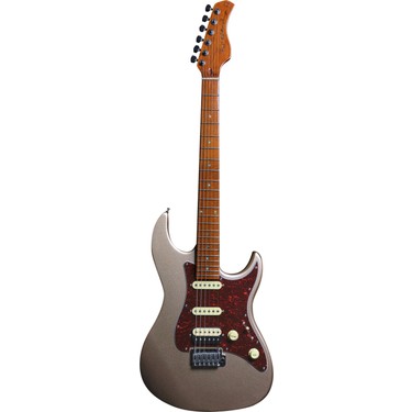 Larry carlton deals stratocaster