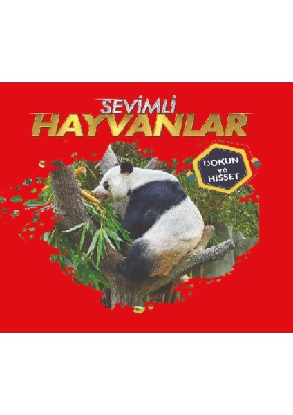 Hayvanlar - Dokun ve Hisset