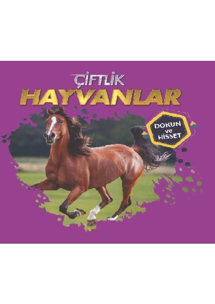 Çiftlik Hayvanları - Dokun ve Hisset