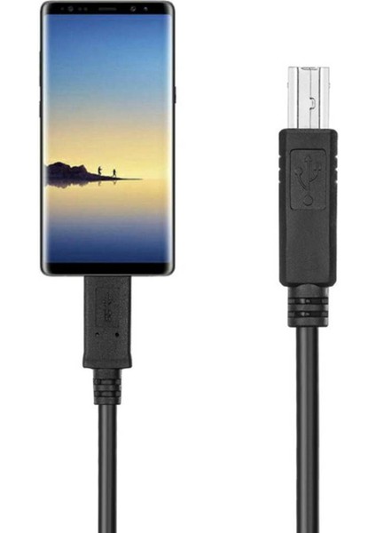 Usb-C USB 3.1 Tip C Erkek - Usb2.0 USB B Erkek Veri Kablosu 1m (Yurt Dışından)