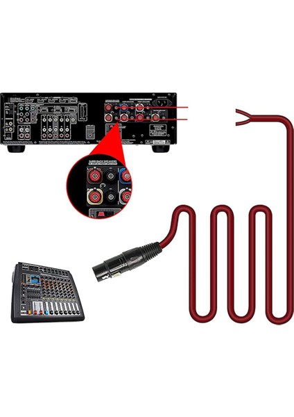 Xlr Hoparlör Kablosu, Altın Kaplama Xlr 3 Pin Erkek Konnektör Kablosu (Yurt Dışından)