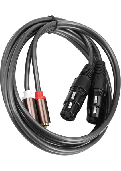 Çift Dişi Xlr - Rca Kablosu, Ağır Hizmet 2 Xlr Dişi - 2 Rca Erkek (Yurt Dışından)