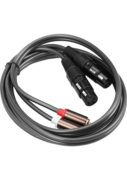 Çift Dişi Xlr - Rca Kablosu, Ağır Hizmet 2 Xlr Dişi - 2 Rca Erkek (Yurt Dışından) modelleri