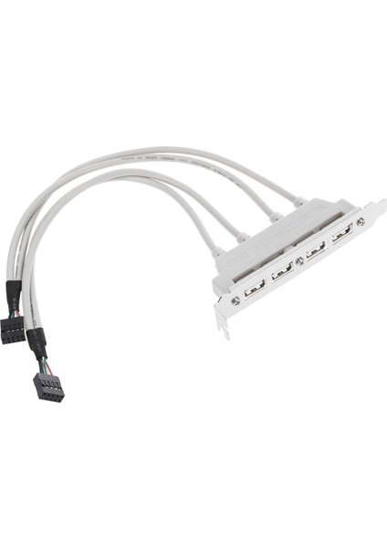 Çift Anakart 9pin Başlığından 4port USB 2.0 Kablo Pcı Braketine (Yurt Dışından)
