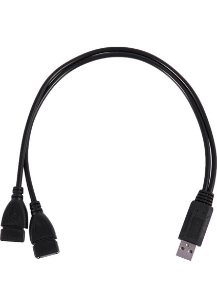 USB 2.0 A Erkek 2 Çift USB Dişi Jak Y Splitter Hub Adaptör Kablosu (Yurt Dışından)