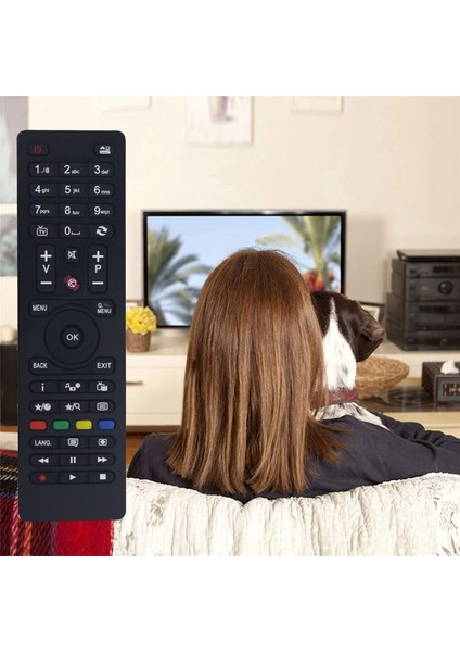 Telefunken Tv RC4875/RC4870 Için 2x Yedek Uzaktan Kumanda (Yurt Dışından)