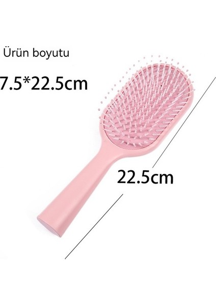 Makaron Güzellik Hava Yastığı Masajlı Saç Fırçası (Yurt Dışından)
