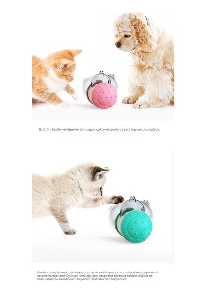 Araba Kaçağı Köpek Oyuncakları (Yurt Dışından)