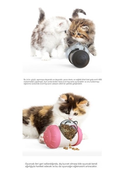 Araba Kaçağı Köpek Oyuncakları (Yurt Dışından)