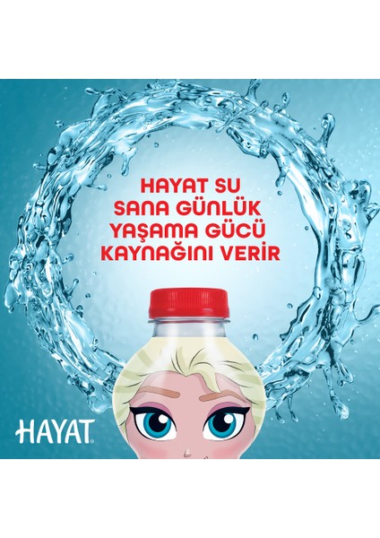 Disney Frozen & Mickey Maskot Su 4x330 ML (Karakter Seçimi Yapılamamaktadır)