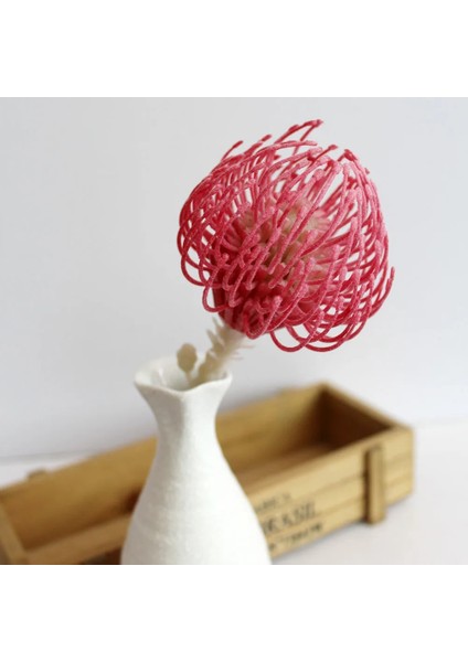 Guan Xin Lian Yapay Kırmızı Akın Etli Bitkiler Dıy Ev Bahçe Ofis Düğün Dekorasyon Mini Bonsai Plante Artificielle (Yurt Dışından)