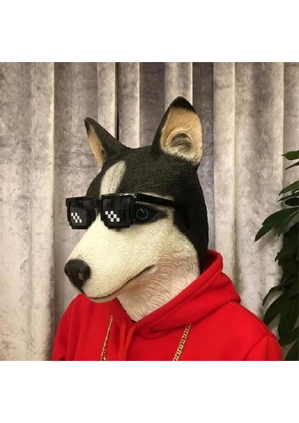 Husky Cosplay At Baş Maskesi Cadılar Bayramı Partisi Dekorasyon Lateks Hayvan Kostüm Tiyatro Prank Çılgın Festivali Cadılar Bayramı Dekor Aksesuarları (Yurt Dışından)