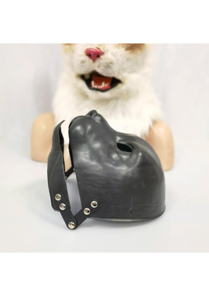 Kedi Dıy Hayvan Hareketli Ağız Boş Maske Kalıbı Dıy El Yapımı Kendi Cadılar Bayramı Maskesi Kalıbınızı, Yarı Mamul Ürünü (Yurt Dışından) fırsatları