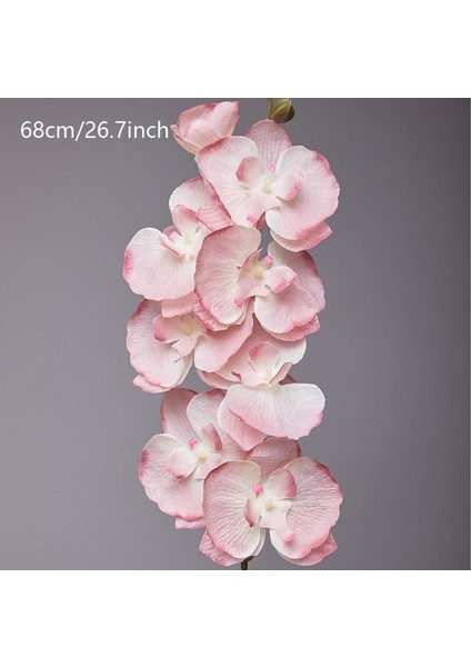 B Pembe 8 Kafaları Yapay Çiçek Siyah Kelebek Orkide Ipek Beyaz Phalaenopsis Düğün Noel Ev Dekor Bahçe Saksı Sahte Bitkiler (Yurt Dışından) fiyatları