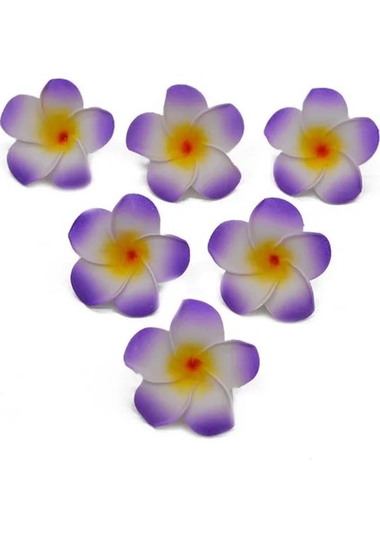 H13 9 cm 10 Adet/grup 5-9 cm Hawaii Frangipani Pe Köpük Yapay Çiçek Dıy Çelenk Headdress Çiçekler Düğün Dekorasyon Parti Malzemeleri (Yurt Dışından)