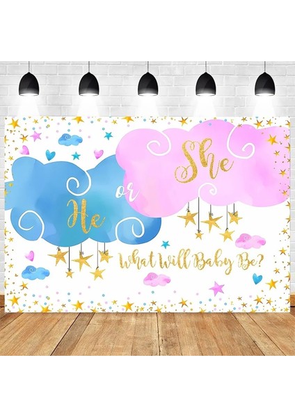 Stil 3 Ggender Reveal Zemin Photocall Ggender Reveal Parti Banner Arka Plan Mutlu Doğum Günü Parti Dekor Çocuklar Oğlan Kız Bebek Duş (Yurt Dışından) fırsatları