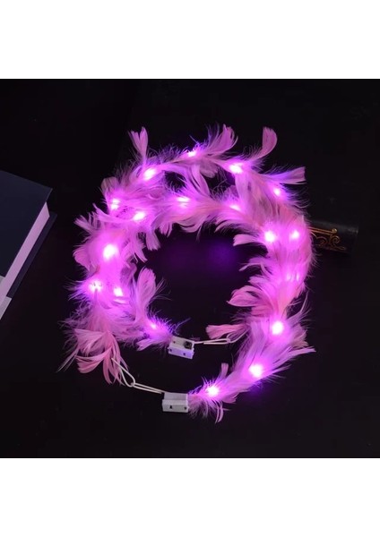 E 10 Adet 10 Adet Taç Çiçekler LED Tüyler Taç Eşarp Aydınlık Tüyler Melekler Taç Bantlar Düğün Parti Noel Hediyesi (Yurt Dışından)