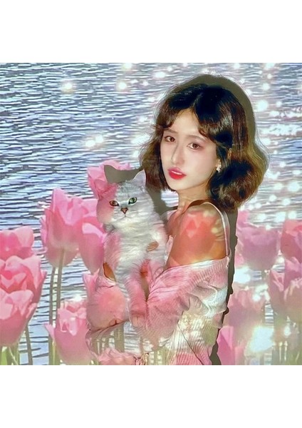 Lamba Kutusu Ins Sahne Projektör Işık Levha Gün Batımı Gündoğumu Görünümleri Projeksiyon Lambası Lale Sualtı Dünyası Duvar Işık Parti Arka Planında Dekor (Yurt Dışından) modelleri