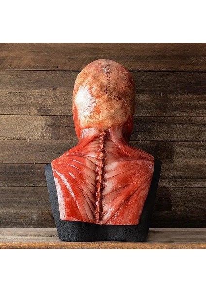 E Tam Kafa Kafatası Maskesi Kafatası Kask Korku Helloween Maskesi Parti Cosplay Kanlı Iğrenç Rot Yüz Korkunç Maske Terör Maskesi Geç (Yurt Dışından)