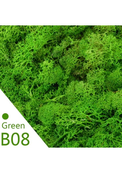 B08 20G 20G 40G Kaliteli Yapay Yosun Ölümsüz Yosun Simülasyon Yeşil Bitki Çim Ev Dekoratif Duvar Dıy Mikro Peyzaj Aksesuarları (Yurt Dışından)