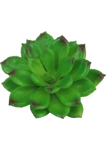 29 Yapay Succulents Yeşil Akın Bitki Kaktüs Sahte Çiçek Masaüstü Manzara Festivali Düğün Ev Bahçe Dekorasyonu (Yurt Dışından)
