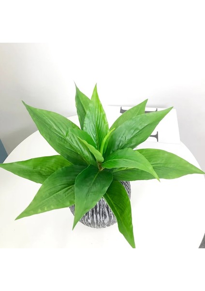 H2 Fengshun 5 Çatal 29 cm Sahte Bitkiler Yapraklar Tropikal Yapay Ağaç Yaprağı Küçük Bitki Örtüsü Dekoratif Bitki Duvar Ev Bonsai Dekorasyon (Yurt Dışından) indirimleri