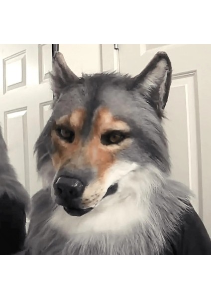 Gösterildiği Gibi Headdress Kostüm Maskesi Kurt Şapkalar Kostüm Maskesi Kurt Maskesi Tatil Cosplay Komik Maskeler Parti Dekorasyon Ürpertici Oyuncak Ev Dekor (Yurt Dışından) fiyatları