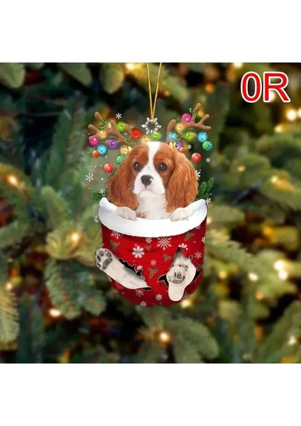 18 2023 Noel Ağacı Kolye Sevimli Köpek Yavrusu Reçine Akrilik Yeni Oda Noel Hediyesi Dekorasyon Süs Şenlikli Köpek Yıl Malzemeleri Parti E8X3 (Yurt Dışından) fiyatları