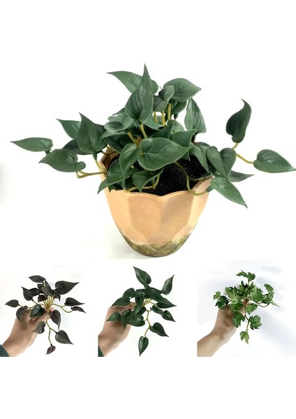 01 Simülasyon Bakır Para Çim Kaplumbağa Yaprağı Yapay Çiçek Sahte Sarmaşık Yaprakları Yeşil Bitki Masaüstü Bonsai Bitkiler Ev Ofis Dekor (Yurt Dışından) fırsatları
