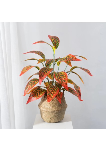 26TOUBIANSEMU 75CM 26 Yapraklar Büyük Yapay Bitkiler Tropikal Ağaç Sahte Manolya Şubesi Plastik Palmiye Yaprağı Yanlış Monstera Ev Bahçe Dekor Için (Yurt Dışından) fiyatları