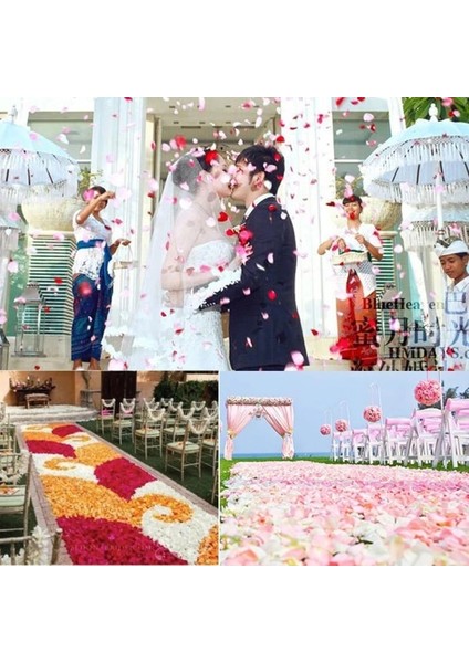 Pembe 1000 Adet 1000/3000 Adet Yapay Gül Yaprakları Renkli Düğün Romantik Ipek Gül Çiçek Petal Kız Düğün Dekorasyon Güller Malzemeleri (Yurt Dışından)