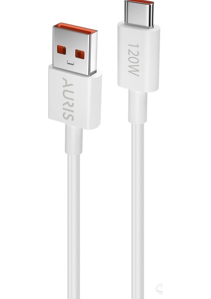 33W-67W-120W Saliseliturbo Şarj