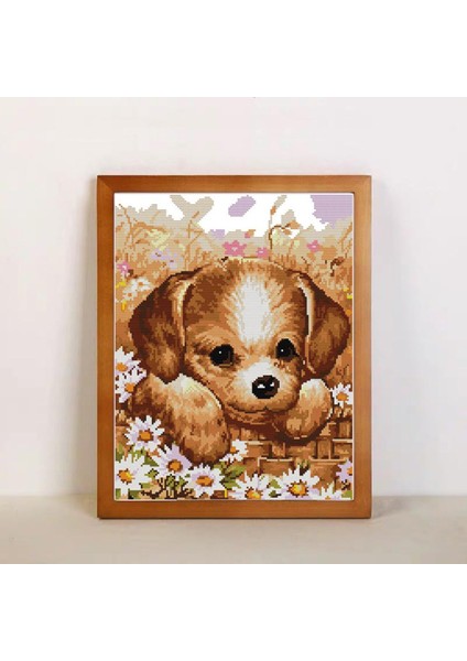 Ş Nakış Dıy Iğne Işi Ş Öpek, Dıy 31X38CM 14CT (Yurt Dışından) fiyatları