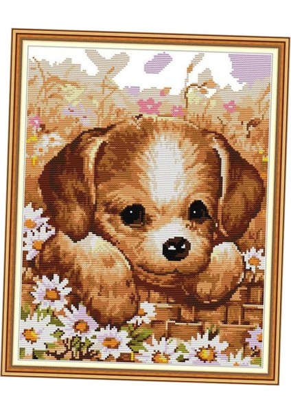 Ş Nakış Dıy Iğne Işi Ş Öpek, Dıy 39X48CM 11CT (Yurt Dışından)