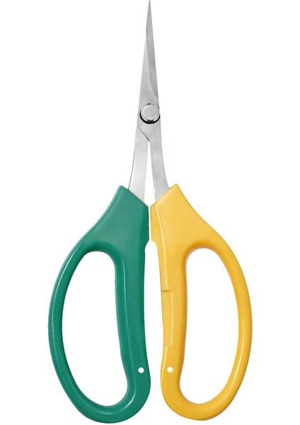 Bonsai Bonsai I 5cm Düz (Yurt Dışından)