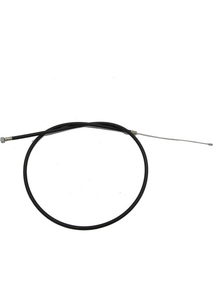 Kelebeğ Yedek (Yurt Dışından) fırsatları