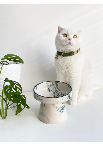 Seramik Kedi ve Köpek Mama Su Kabı Yeşil Çizgili Ebru Desen M2