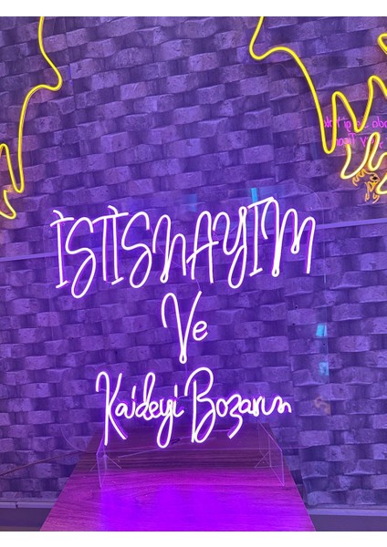 Istisnayım ve Kaideyi Bozarım Yazılı Neon Tabela