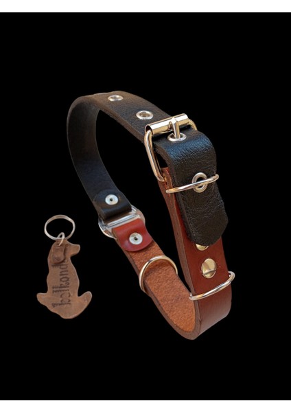 Köpek boyun tasması hakiki deri siyah kahverengi kalınlık:4mm genişlik:2,5cm boyun ölçüsü:35-46cm ayarlamalı dog collar T1-4