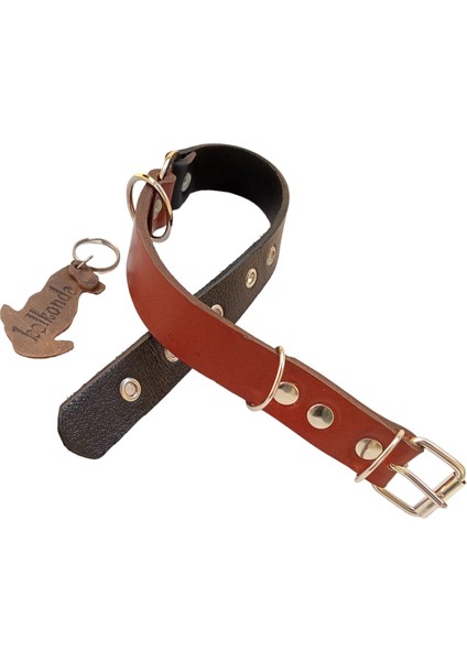 Köpek boyun tasması hakiki deri siyah kahverengi kalınlık:4mm genişlik:2,5cm boyun ölçüsü:35-46cm ayarlamalı dog collar T1-4