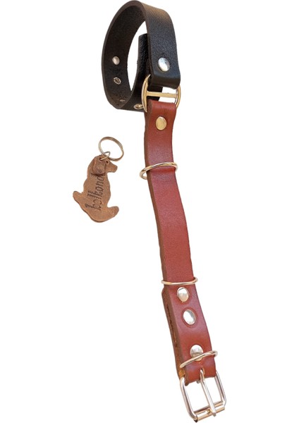 Köpek boyun tasması hakiki deri siyah kahverengi kalınlık:4mm genişlik:2,5cm boyun ölçüsü:35-46cm ayarlamalı dog collar T1-4